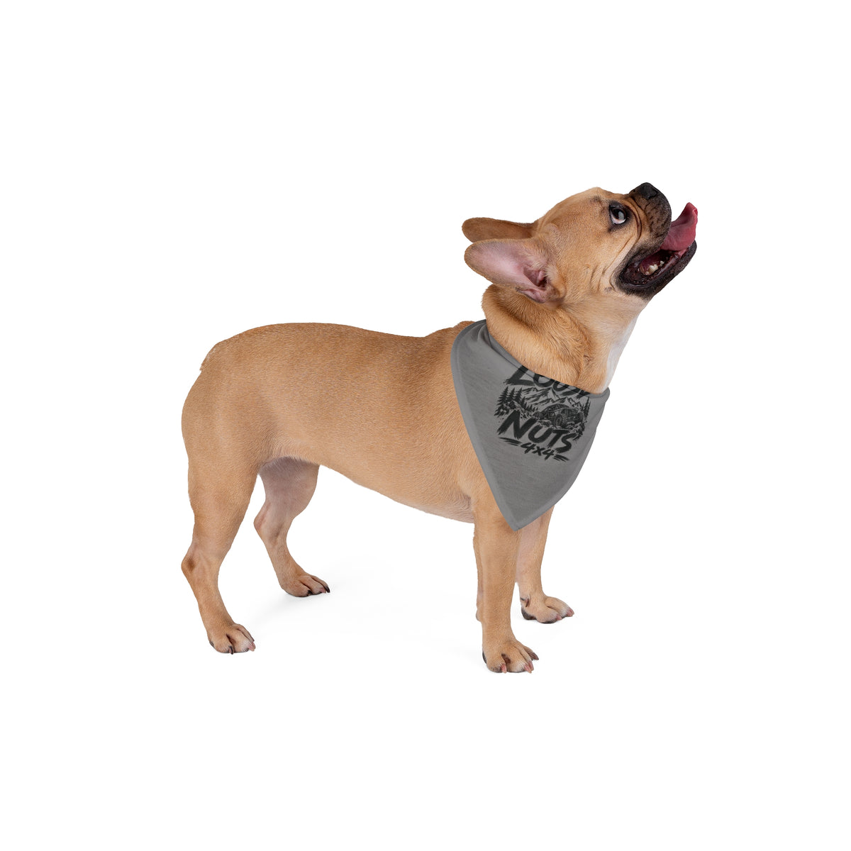 Loose Nuts Pet Bandana