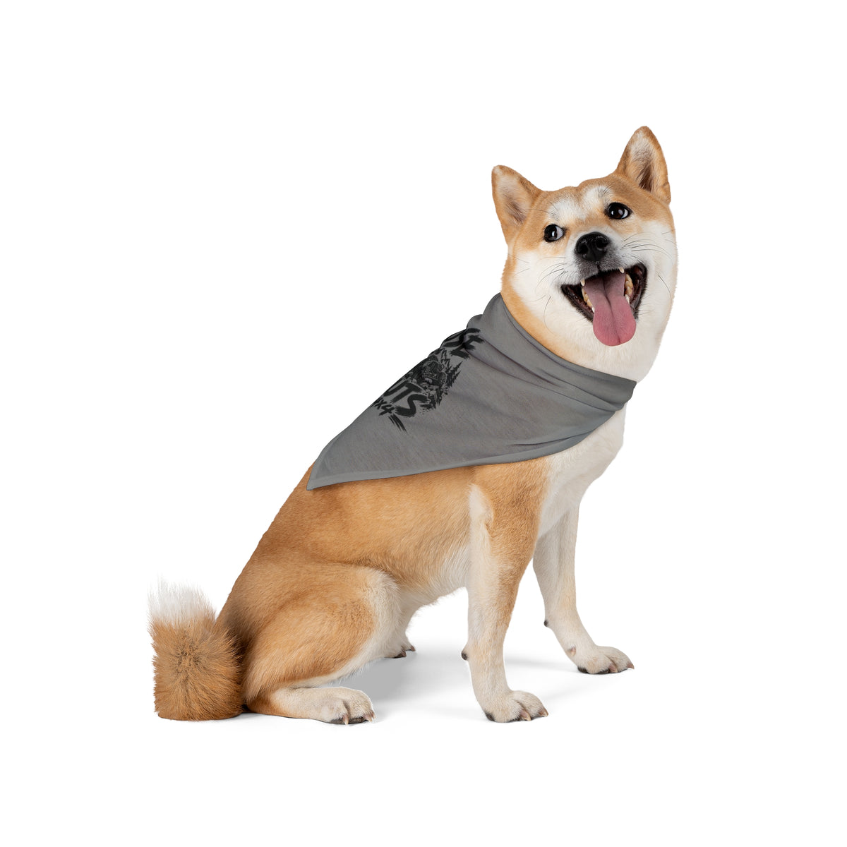 Loose Nuts Pet Bandana