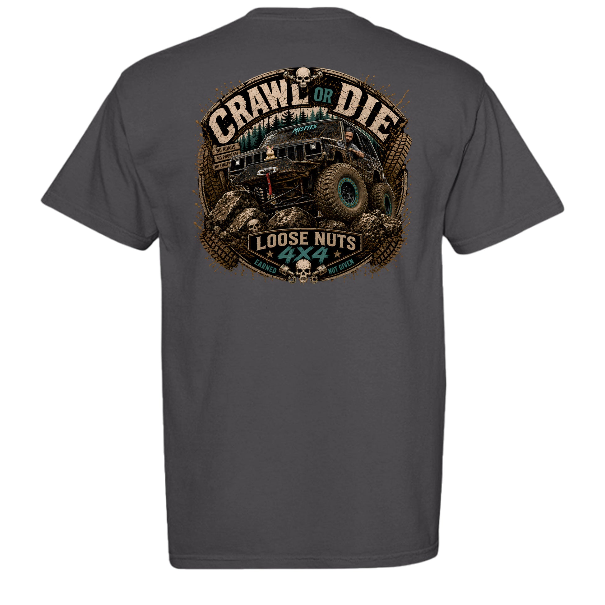 GRAPHITE - C1717 - BACK